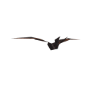 Bat - Castlevania: Legacy of Darkness