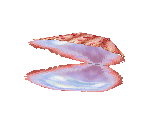 Clam - Super Mario 64 DS
