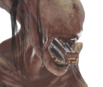 Xenomorph (Clone) - Dead by Daylight