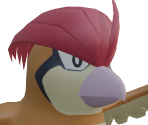 #0017 Pidgeotto - Pokémon Legends: Z-A