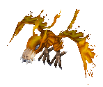 Birdramon - Digimon World