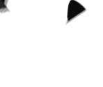 Seagull - Tomodachi Life: Living the Dream