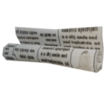 News Paper Folded - Family Guy Online
