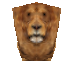 Lion - Survivalcraft 2