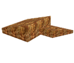 Rock Formation - Sammy the Suricate in Lion Land