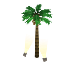 Palm Tree - Pokémon Black 2 / White 2