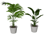 Plants - Crushed In Time