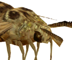 Giant Moth - Resident Evil: Survivor