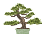 Bonsai - Suikoden V