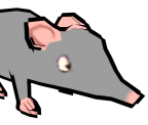 The Rats - Mr. Bean