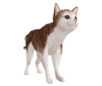 Cat (Tabby) - Suikoden V