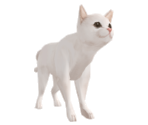 Cat (White) - Suikoden V