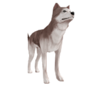 Dog (Husky) - Suikoden V