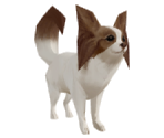 Dog (Papillon) - Suikoden V