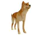 Dog (Shiba Inu) - Suikoden V