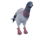 Pigeon - Suikoden V