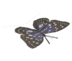 Purple Butterfly - Katamari Damacy