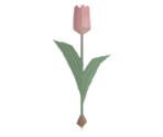 Pink Tulip - Katamari Damacy