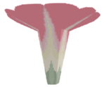 Red Morning Glory - Katamari Damacy