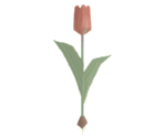 Red Tulip - Katamari Damacy
