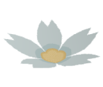 White Flower - Katamari Damacy