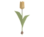 Yellow Tulip - Katamari Damacy