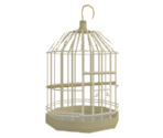 Birdcage - Katamari Damacy