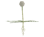 Fluff - Katamari Damacy