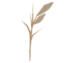 Pampas Grass - Katamari Damacy