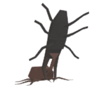 Beetle Fight - Katamari Damacy