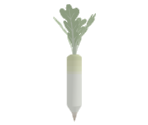 Daikon Radish - Katamari Damacy