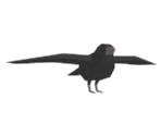 Crow - Katamari Damacy