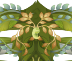 Warden of the Last Oasis / Warden of Oasis Prime - Genshin Impact