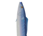 Luxurious Sea-Lord - Genshin Impact