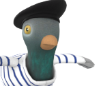 Pigeon - Frenchy Bird