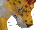 Red XIII (Great Sabrecat) - Final Fantasy VII: Ever Crisis