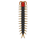 Centipede - Animal Crossing: New Horizons