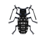 Citrus Long-horned Beetle - Animal Crossing: New Horizons