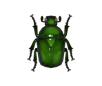 Drone Beetle - Animal Crossing: New Horizons
