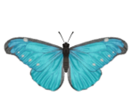 Emperor Butterfly - Animal Crossing: New Horizons