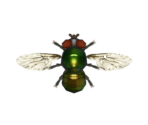 Fly - Animal Crossing: New Horizons