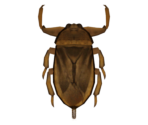 Giant Water Bug - Animal Crossing: New Horizons