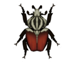 Goliath Beetle - Animal Crossing: New Horizons