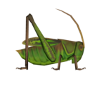 Grasshopper - Animal Crossing: New Horizons