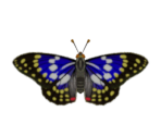 Great Purple Emperor - Animal Crossing: New Horizons