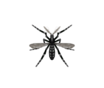 Mosquito - Animal Crossing: New Horizons