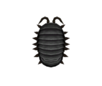 Pill Bug - Animal Crossing: New Horizons