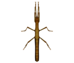 Walking Stick - Animal Crossing: New Horizons