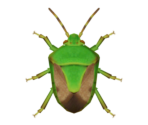 Stinkbug - Animal Crossing: New Horizons
