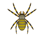 Spider - Animal Crossing: New Horizons